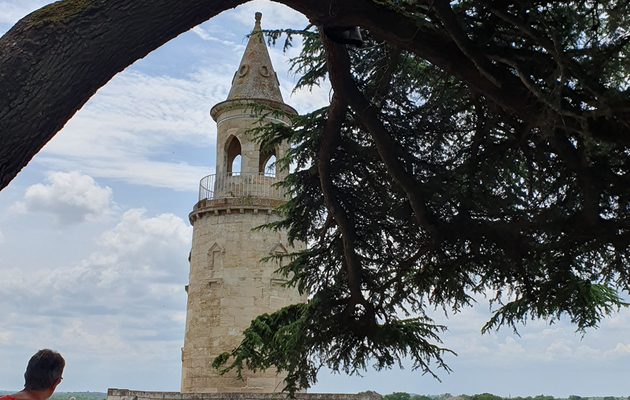 Du château de La Tour de By à l'Estuaire