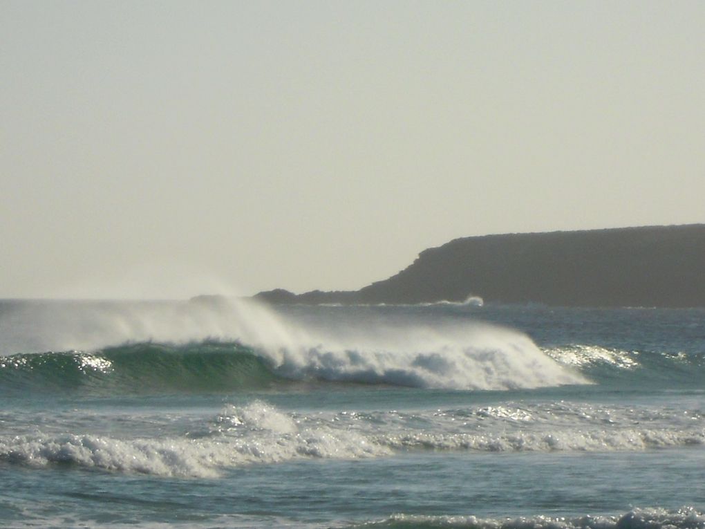 Album - VM. AUSTRALIE - Seal Rocks