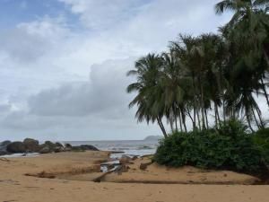 WE chargé et ensoleillé ! Au programme, papote, farniente, piscine, bronzette, ptites bouffes, cuisine de nouvelles découvertes culinaires, rando en forêt (L'Amazonie, le pied !), plage et baignade !