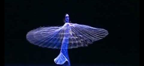 Diana Vishneva : magnifique danseuse!