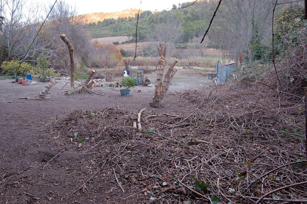 En 2007, nous avons nettoyé le terrain ... avec des outils 