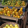 couleurs du marché...