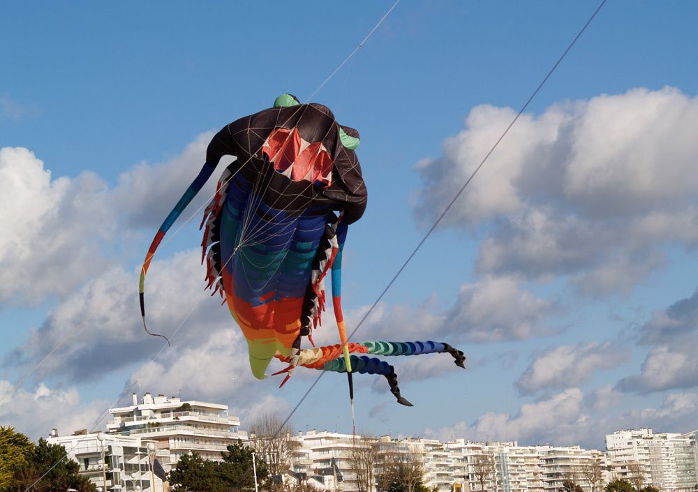 Album - Cerf volant plage de La Baule