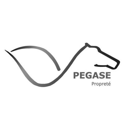 PEGASE-Propreté