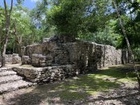 Sur le chemin du retour : Coba