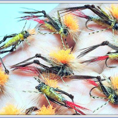 SAUTERELLE, MONTAGE PARACHUTE.