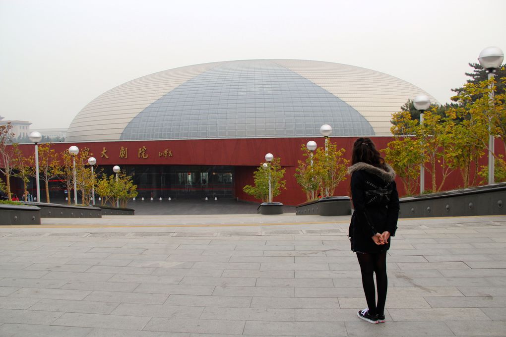 Centre National des Arts et du Spectacle, "La Verrue", Pékin 