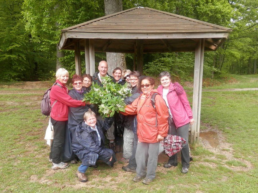 Le 1er Mai dans la forêt de Malvoisine