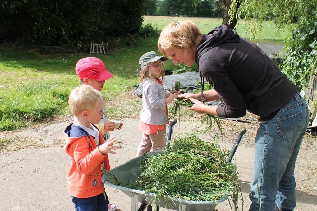 Promenade scolaire à la ferme