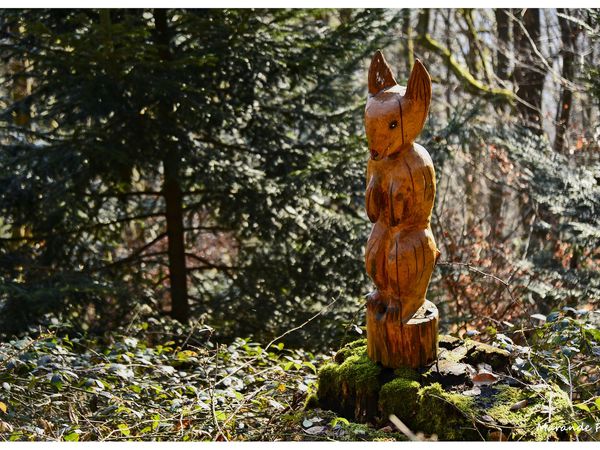 De belles sculptures en forêt de Saverne !
