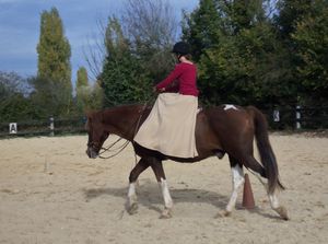 Séance cheval d'amazone!