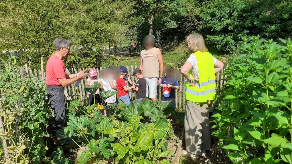 JUIN 2023 : Accueil pour la sensibilisation à la biodiversité des bambins de Talmont