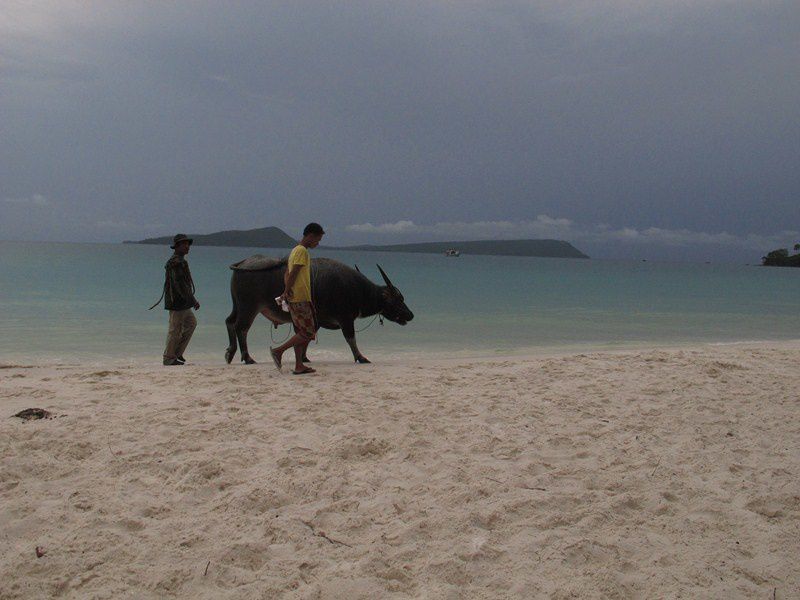 ALBUM - CAMBODGE