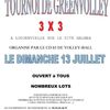 Tournoi de Greenvolley dans le 65 le 13 juillet