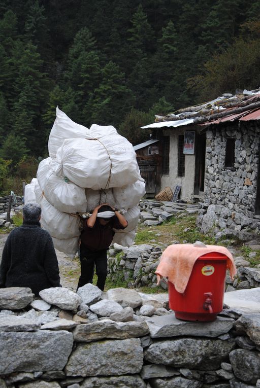 De Namche Bazaar à Tengboche