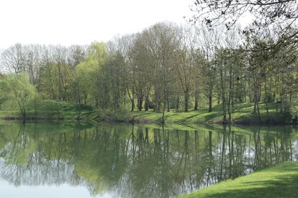  Pluie  de  printemps