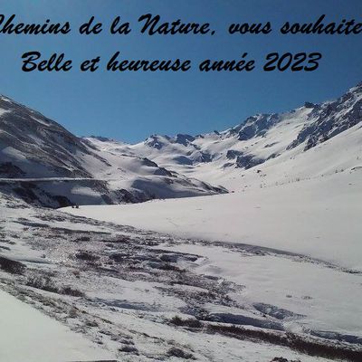 Meilleurs voeux pour 2023