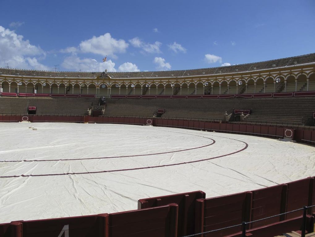 Ocre du sable et rouge sang....arènes construites en 1761. Bâtiment de style baroque tardif.18.000 spectateurs. Pendant une corrida 6 taureaux sont mis à mort par 3 matadors...