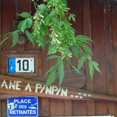 Un soir, une photo : Pinpin... et sa cabane ! 