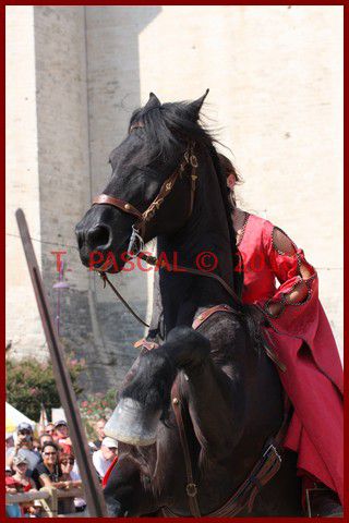 Album - MEDIEVALES-TARASCON-2010