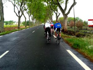 Election du vélo de l'année 2014