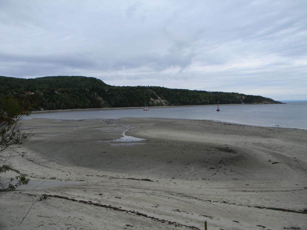 Album - Tadoussac