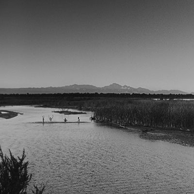 CANNONBALL 2018 - JOUR 145