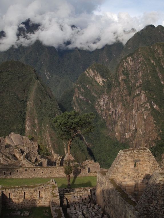 Sur les chemins du Machu Pichu : site de Moray, Saline de Maras, la vallée sacrée pour arriver au Huayna Pichu et Machu Pichu.

terredepaysages.over-blog.com