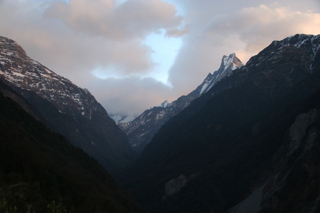 Album - Trek vers l'Annapurna Sud