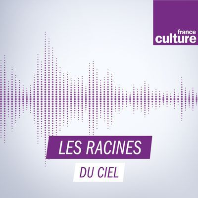 L'Alchimie avec Françoise Bonardel | Les racines du ciel - France Culture (26/04/2011)