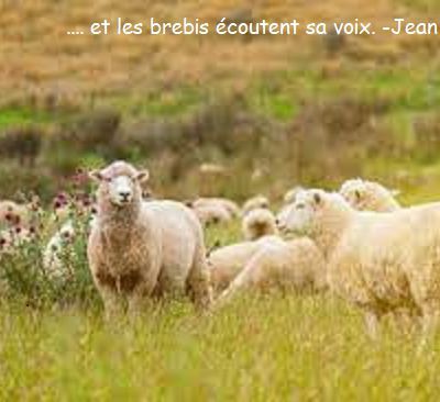 - Liturgie du Dimanche 30 Avril 2023 -