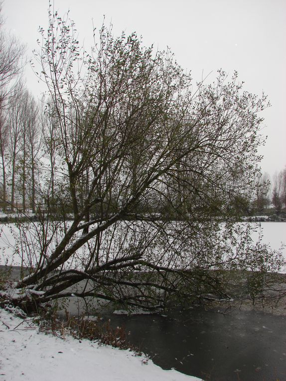 THE WINTER 2010 OR THE WHITE HELL. Sélection de photographies prises entre le 2 décembre et le 19 décembre 2010 à l'Etang de Fouilloy, la Place de la République de Corbie et la Somme.
Photos prises avec un SONY DSC-H2.  (C) DAVID NOGENT/ADAGP. A