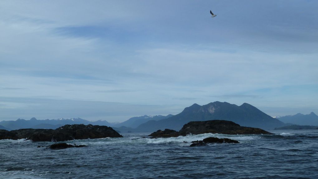 Album - Tofino