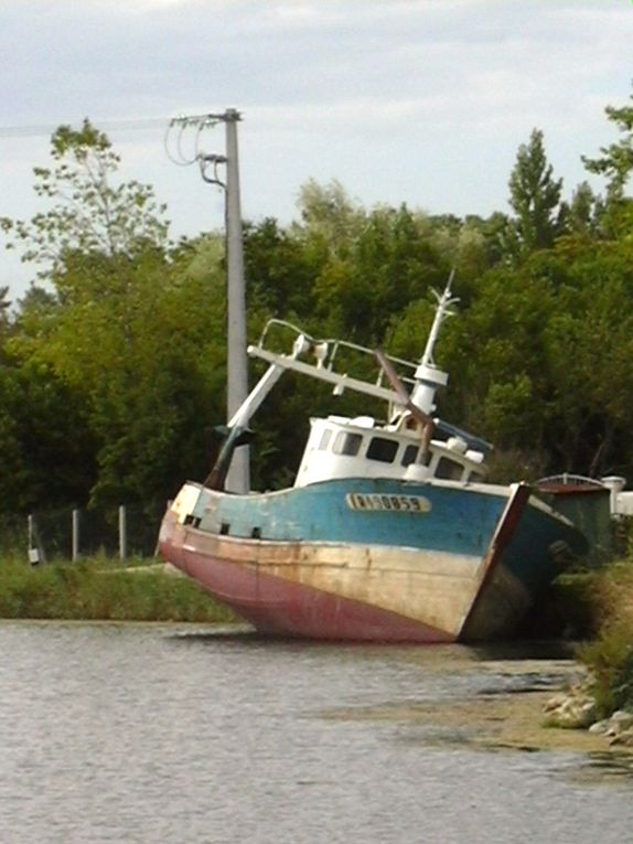 ILE D'OLERON 
ST TROJAN LA BALNEAIRE, LA BAIE DE GATSEAU, LE GRAND VILLAGE PLAGE ET SON PORT DES SALINES, ST PIERRE AVEC SES RUELLES PIETONNES ET SON PORT DE PECHE DE LA COTINIERE, LE PERTHUIS MAUMUSSON, LE PETIT TRAIN DE ST TROJAN, LE FORT BOYARD E