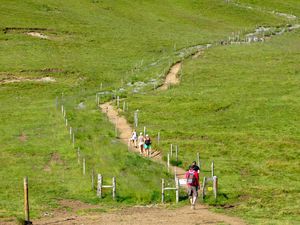 Le chemin et les alentours.