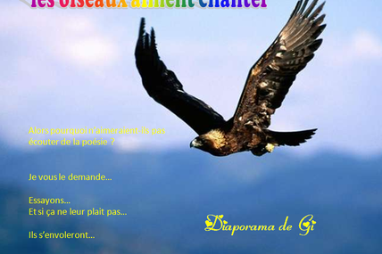 Les oiseaux aiment chanter