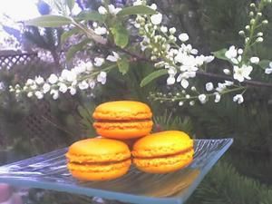 Macaron Orange