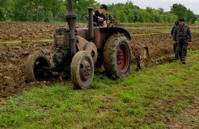 FOIRE 2023 : LE PERCHERON T25