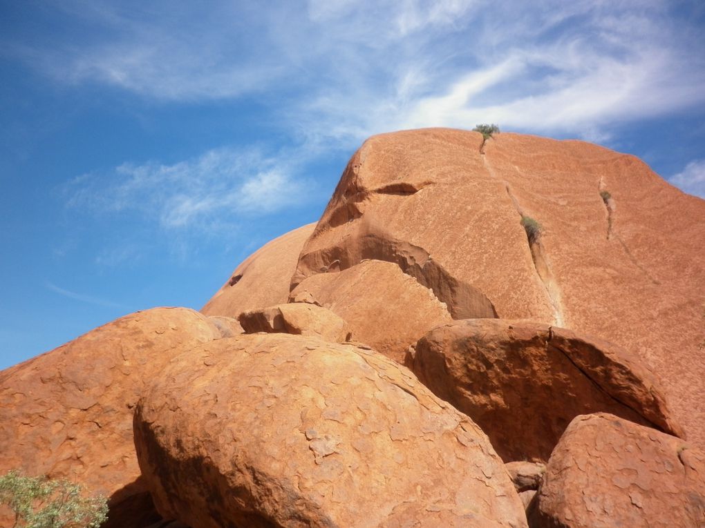 Album - Roadtrip-zum-ULURU-via-Great-Ocean-Road