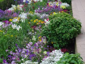 Tapas et Sangria - Mosaïques et dentelles de pierre - Fleurs et village blanc - Photo AD