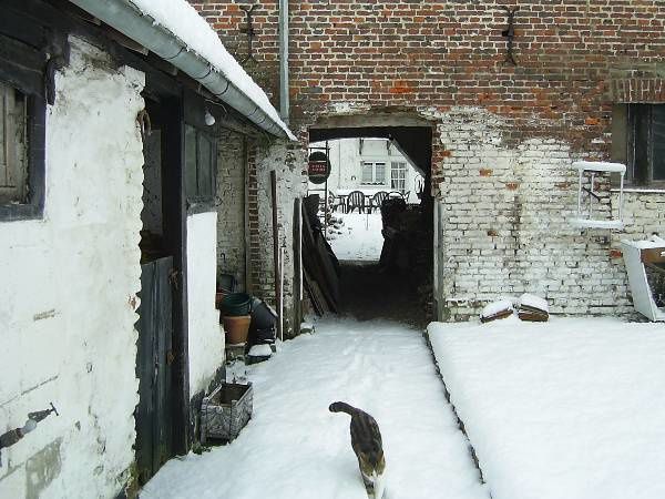 Découvrez notre maison sous 20 cm de neige !