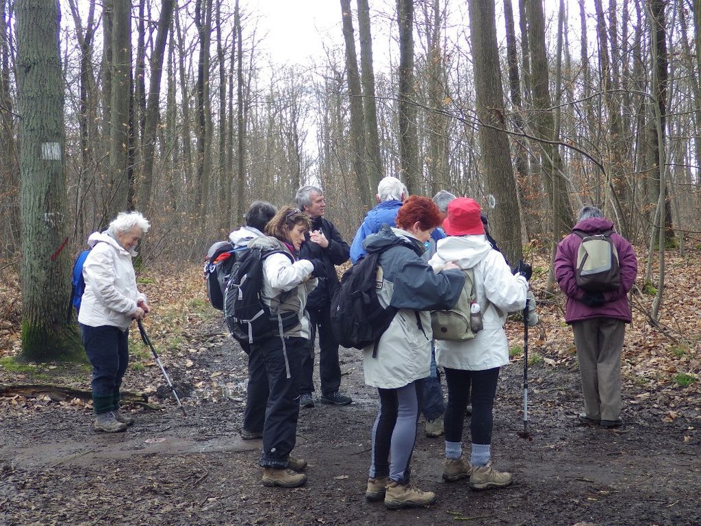 Bois de Fausses Reposes