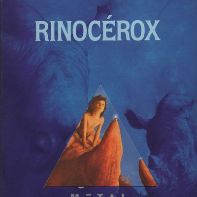 Rinocérox