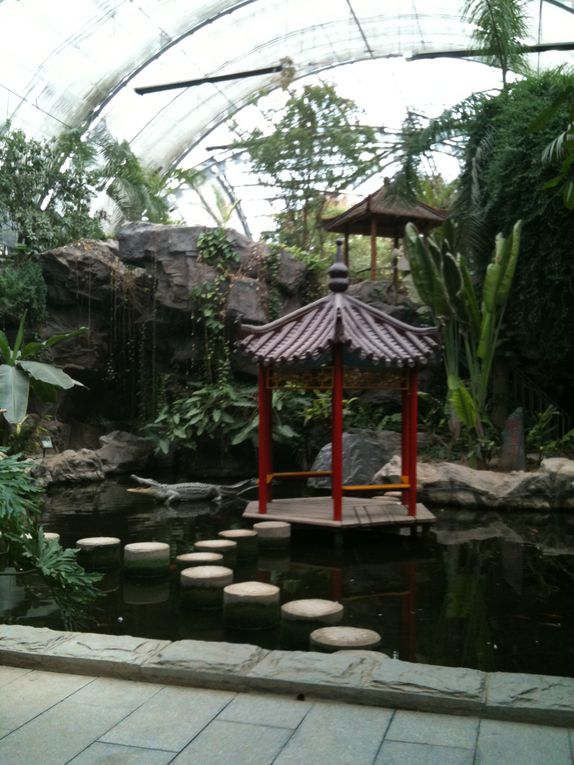 Album - Tropical Botanical Garden