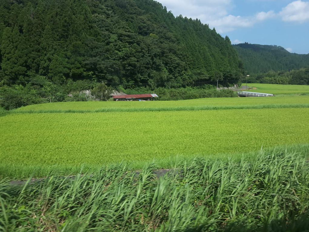 17 août 2019 - Okayama - Sakaiminato