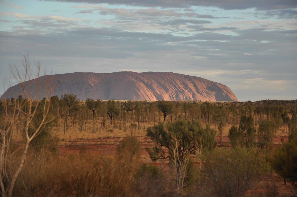 Album - Uluru &amp; Kata Tjuta