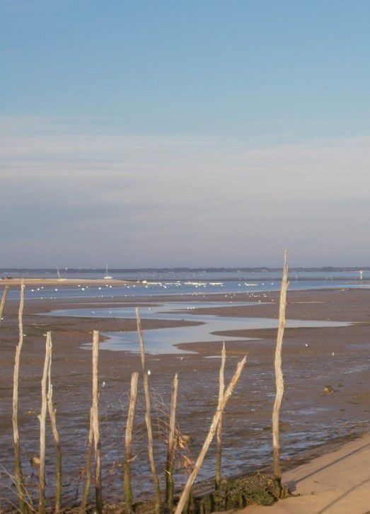 Promenade le long du bassin d'arcachon