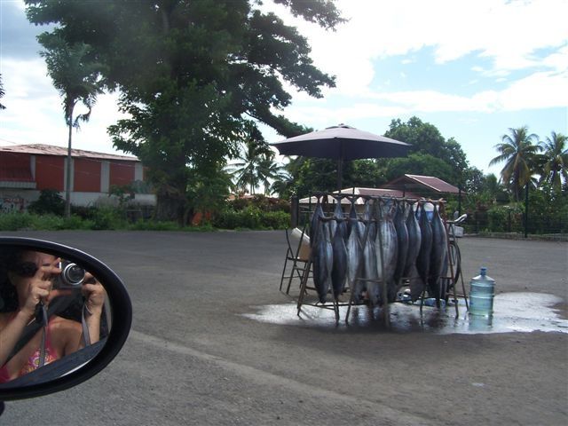 Voici quelques photos prises quand nous avons fait le tour de Tahiti en voiture.