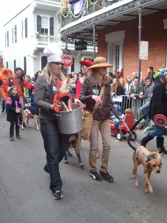 Première parade de notre premier carnaval.