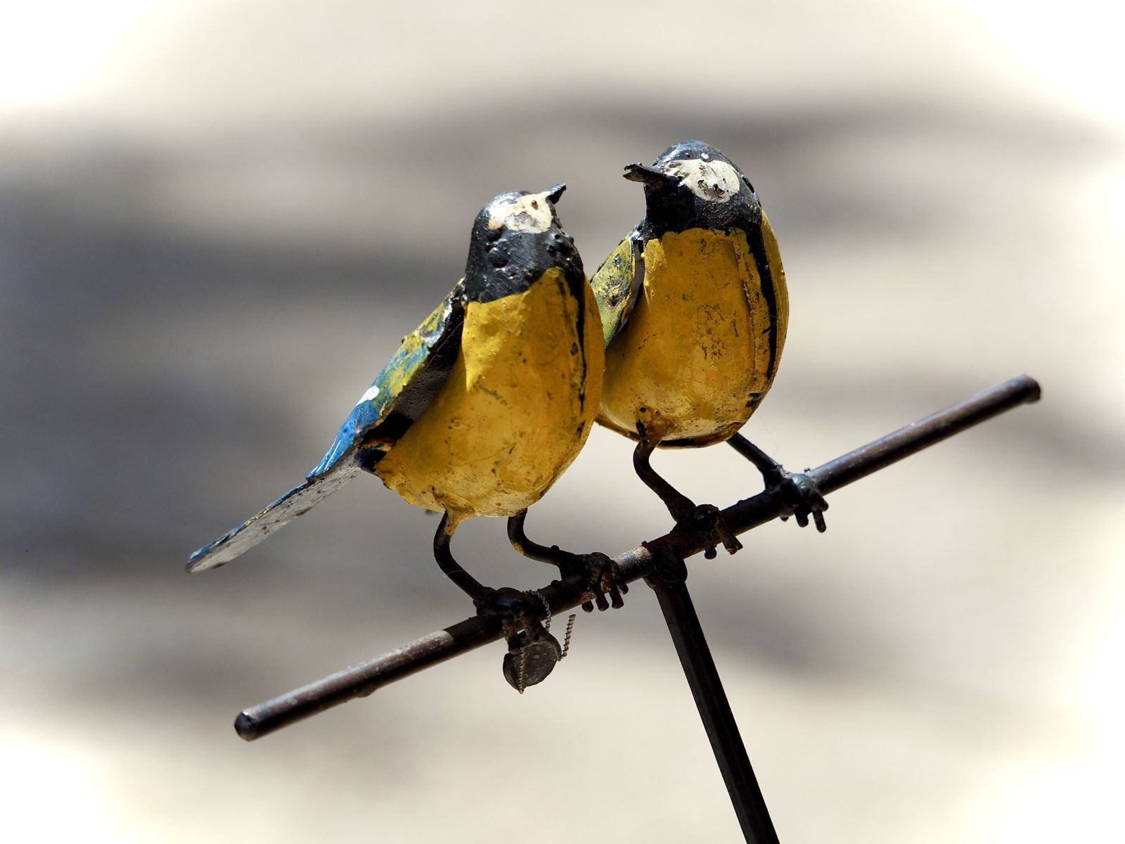 Oiseaux se faisant mutuellement confiance montrant que la confiance exclut totalement le contrôle 